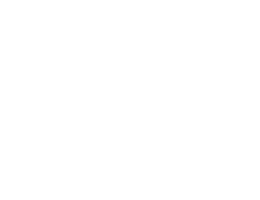 cmt