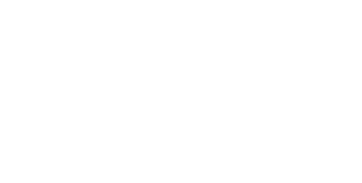 k19