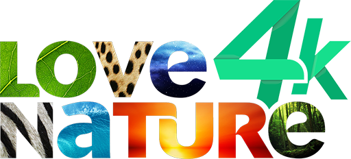 love-nature-4k