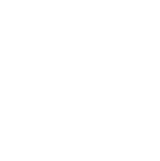 br-sud