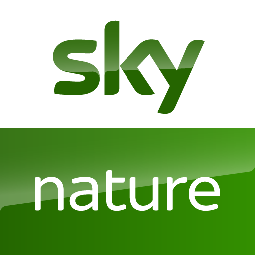 sky-nature-alt