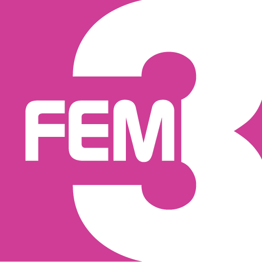 fem3