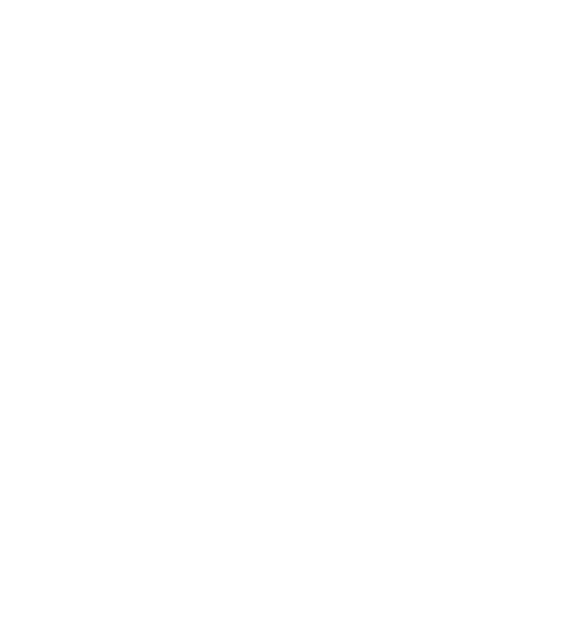 ewtn-icon-int