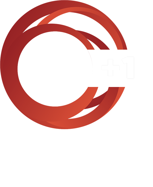tvnz-1-plus
