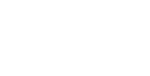 fliek-net