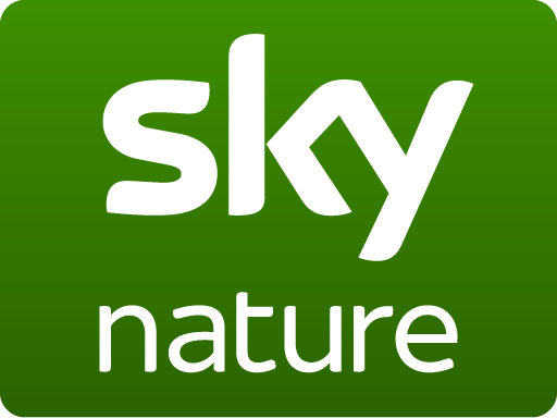 sky-nature
