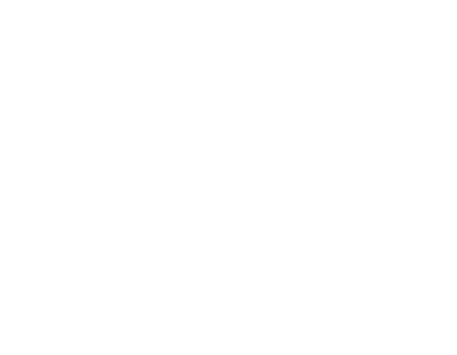 cmt