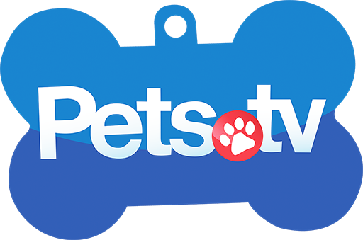 pets-tv