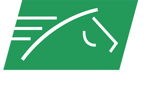 tvg-2