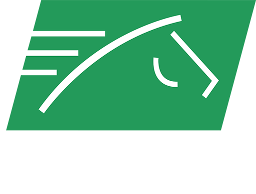 tvg-network
