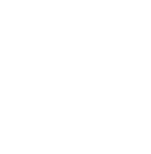 calle-13