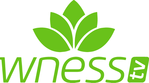 wness-tv