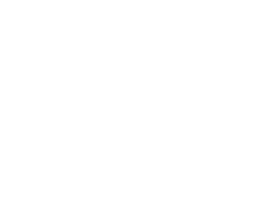 bravo-plus