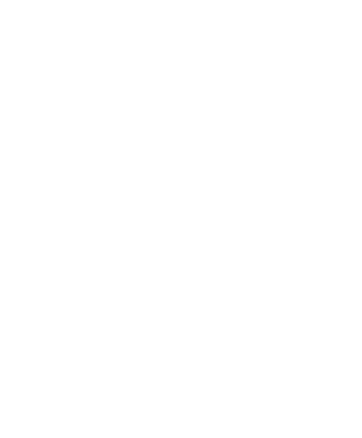 tv2-sport2