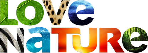 love-nature