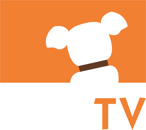 dog-tv