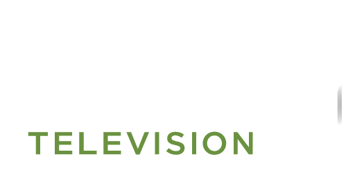 story-television
