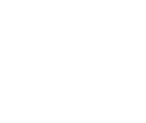 amc-series-lam